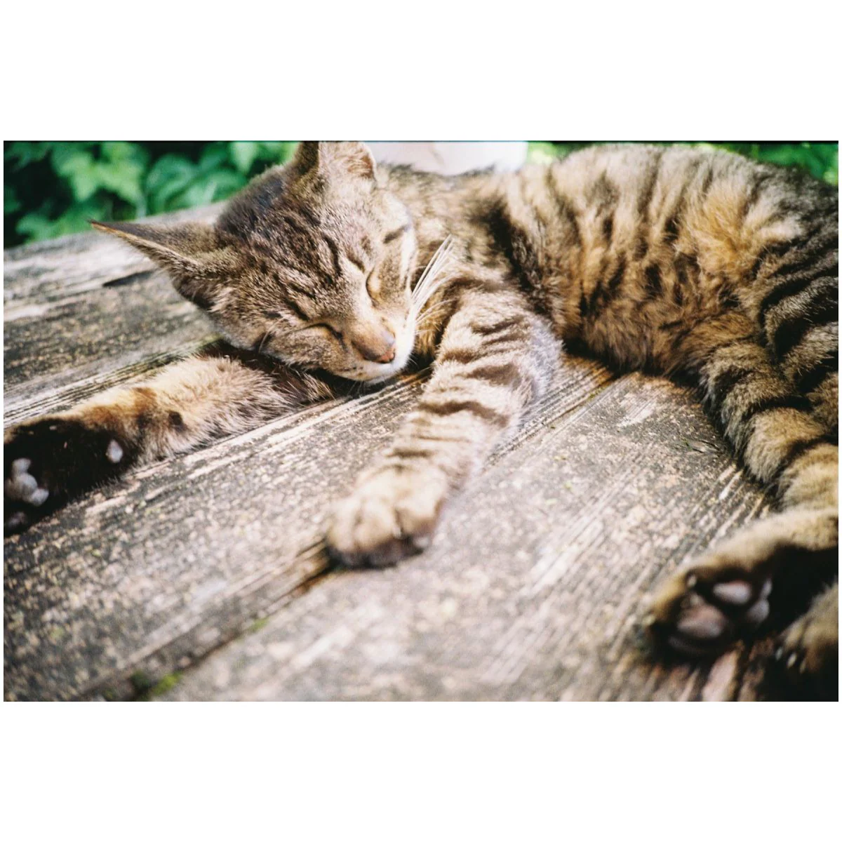 Image du produit 24
