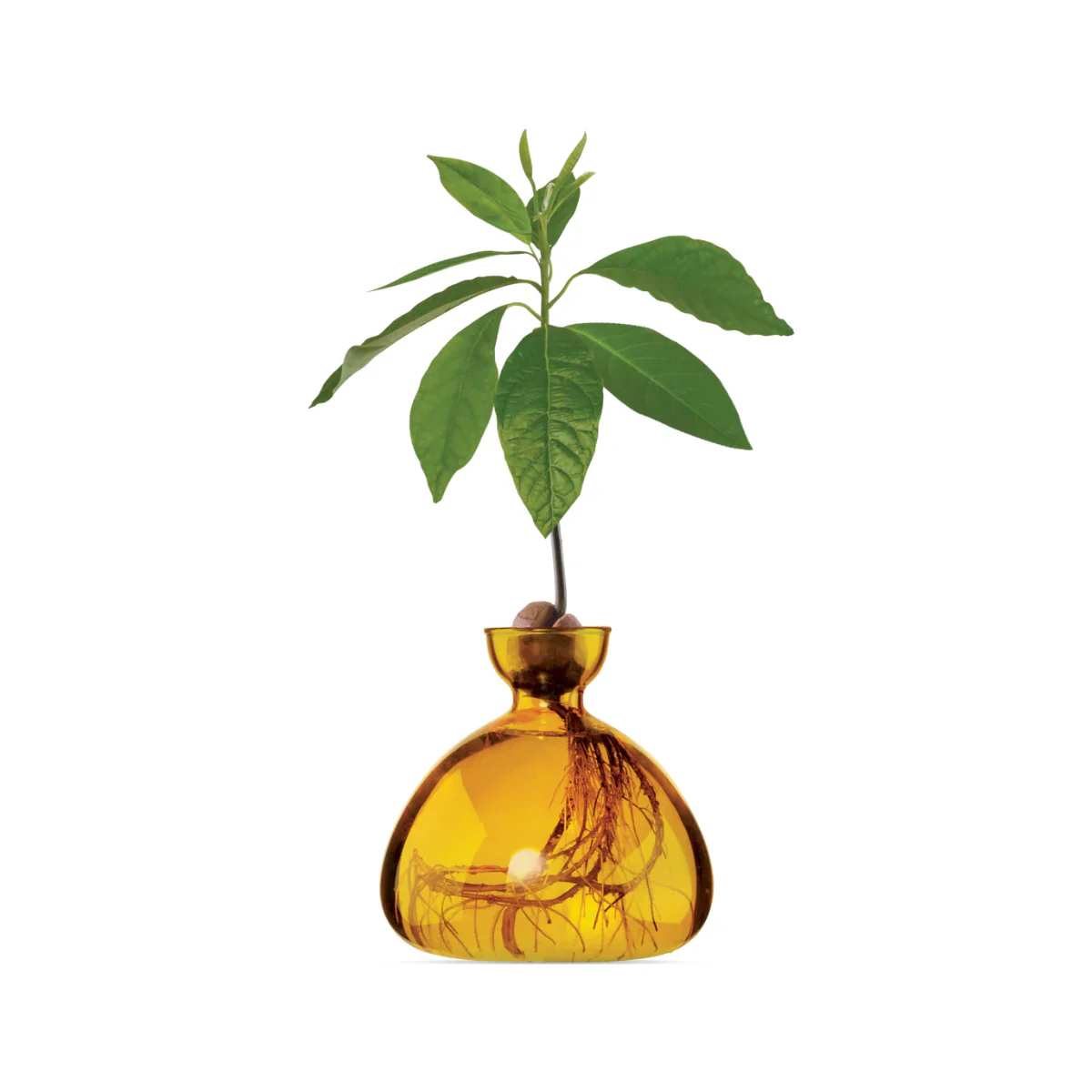 Image du produit 9